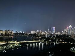 The Riverine By The Park (D12), Apartment #543519131